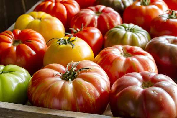 Heirloom Brandywine Tomato Seeds, Beefsteak - seedstocherish - Non